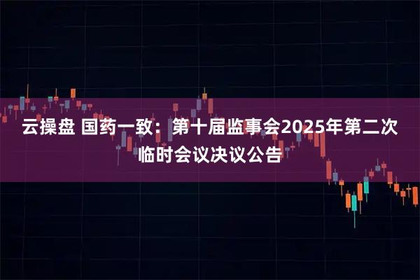 云操盘 国药一致：第十届监事会2025年第二次临时会议决议公告