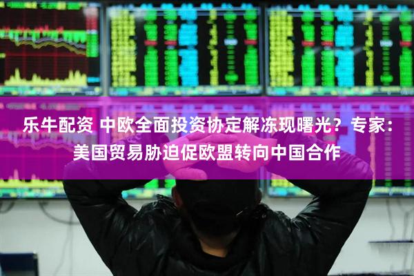 乐牛配资 中欧全面投资协定解冻现曙光？专家：美国贸易胁迫促欧盟转向中国合作