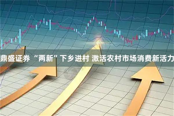 鼎盛证券 “两新”下乡进村 激活农村市场消费新活力