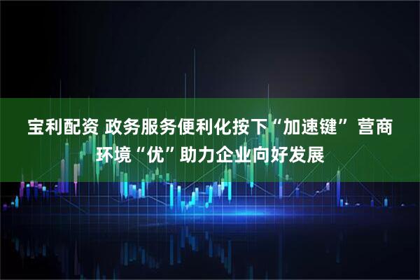 宝利配资 政务服务便利化按下“加速键” 营商环境“优”助力企业向好发展