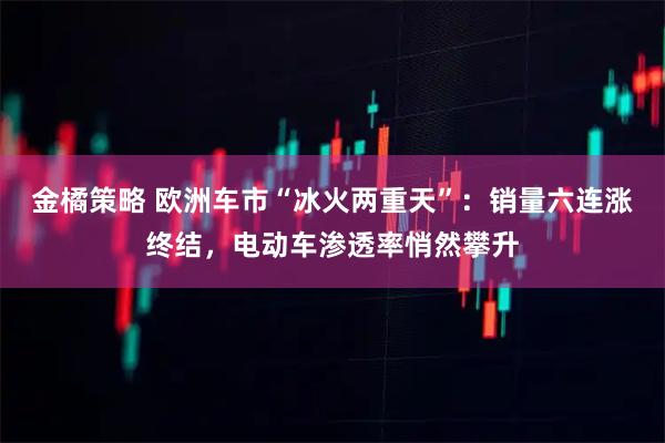金橘策略 欧洲车市“冰火两重天”：销量六连涨终结，电动车渗透率悄然攀升