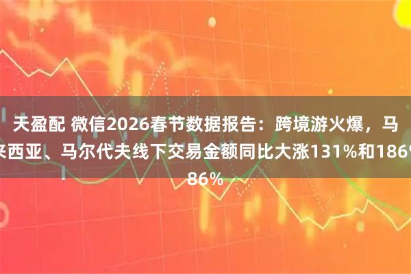 天盈配 微信2026春节数据报告：跨境游火爆，马来西亚、马尔代夫线下交易金额同比大涨131%和186%